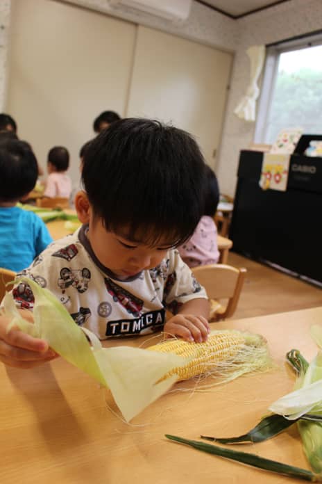 エンゼル保育園でのとうもろこしの皮剥きの様子5